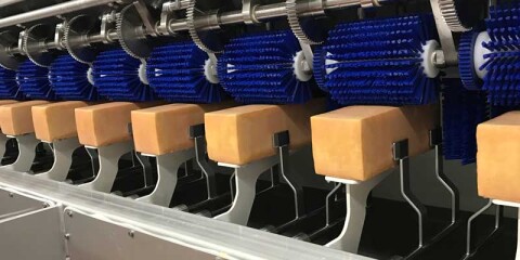 Schmieren van blokken kaas met behulp van industri&euml;le robots