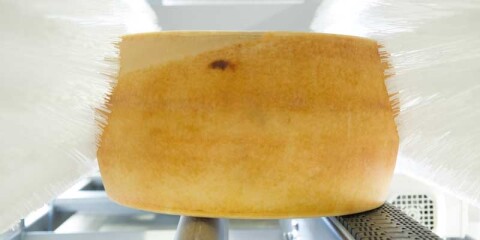 DERO GROEP CHEESE HardItalianCheese 01