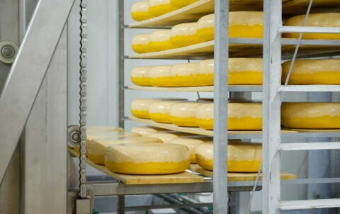 DERO GROEP CHEESE NaturallyRipenedCheese 01