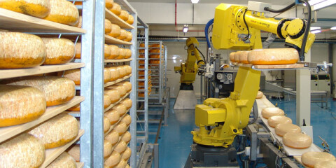 DERO GROEP CHEESE NaturallyRipenedCheese 02