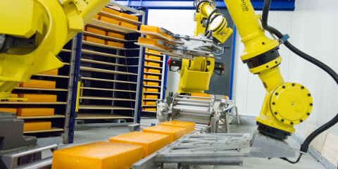 DERO GROEP CHEESE RackLoadingRobot 02