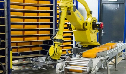 DERO GROEP CHEESE RackUnloadingRobot 01