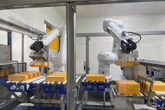Twee robots plaatsen staven Cheddar op de juiste positie voor aanvoer naar de slicer