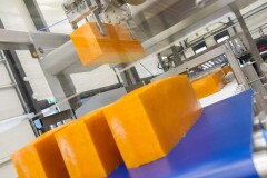 Een robot plaatst in staven gesneden kaas op de juiste positie voor aanvoer naar de slicer
