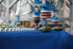 DERO GROEP FASTPICKER AVOCADO TROPS