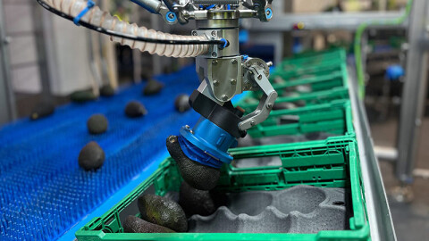 DERO GROEP FRESHPRODUCE HOOFD 02