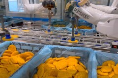 DERO GROEP MEATVEGA BinPickingRobot 08