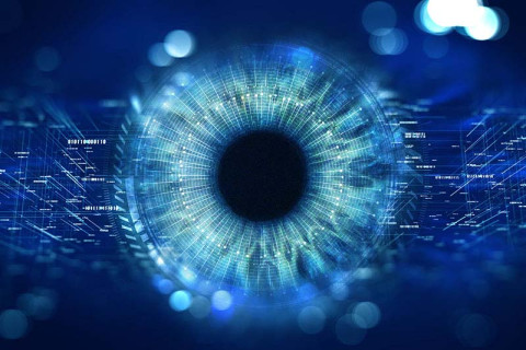 Vision oog